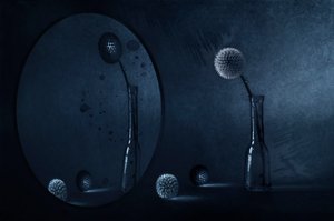 Blaue Distelreflexion von Desislava Ignatova