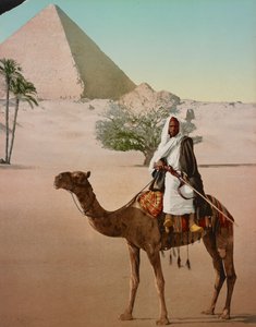 Beduine auf einem Kamel und die Große Pyramide, Kairo, Ägypten