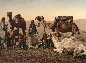 Kamele halten in der Wüste, Heiliges Land, ca. 1890 von Detroit Photographic Co.