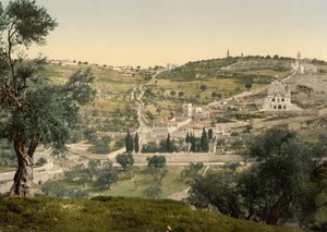 Ölberg und Gethsemane, Gesamtansicht, Jerusalem, ca. 1890-1900
