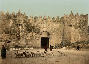 Das Damaskustor, Jerusalem, Heiliges Land, ca. 1890-ca. 1900