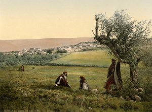 Gesamtansicht, Kana in Galiläa, Heiliges Land, ca. 1890-1900