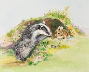 Dachs und ein Kaninchen