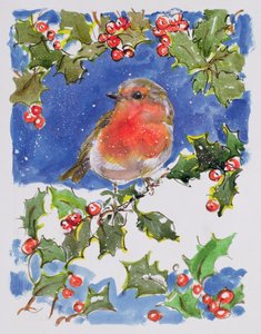 Weihnachtsrotkehlchen, 1996 von Diane Matthes