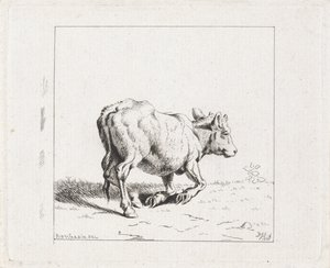 Sich aufrichtendes Kalb