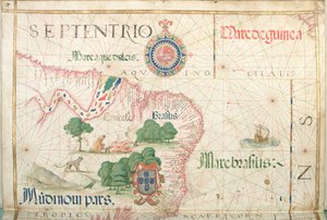 Mündung des Amazonas, Brasilien (Detail)