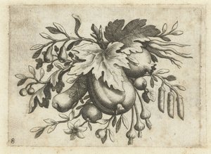 Feston von Früchten (Früchtenbüchlein zum Reisen dienlich) von Dietrich Krüger (attributed to)