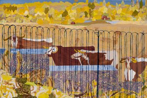 Durstige Longhorns, heißer Sommer