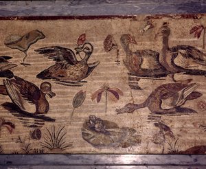 Römisches Mosaik aus Pompeji von Enten und Fröschen in einem Wassergarten