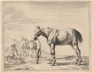 Ein Pferd an einen Pfosten gebunden