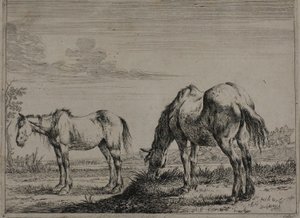 Weidendes Pferd, Platte drei aus der Serie der Pferde von Dirck Stoop