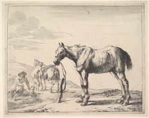 Pferd an einen Pfosten gebunden, nach links gedreht