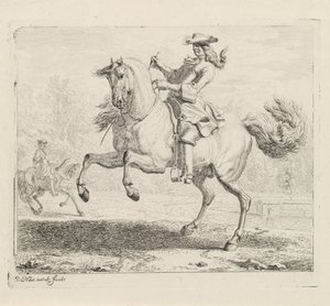 Steigendes Pferd mit Reiter von Dirk Maas