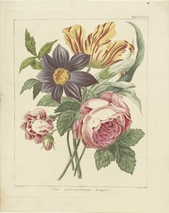 Blumenstrauß mit Pfingstrose und Tulpe