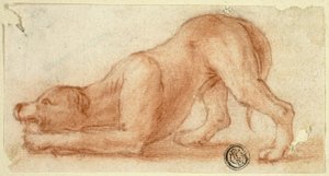 Springender pelziger Hund von Dirk Valkenburg