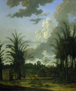 Plantage in Suriname von Dirk Valkenburg