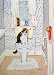 Katze auf dem Klo, 1991