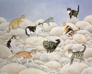 Lynn Valley Katzen von Ditz