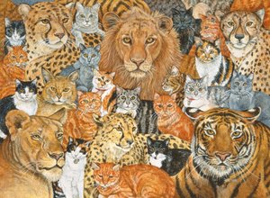 Halbwilde Katze