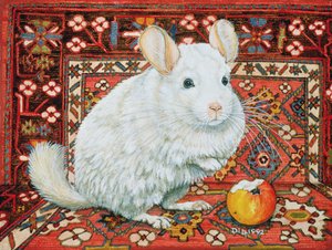 Der Teppich-Chinchilla, 1992