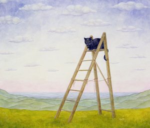 Die Leiterkatze von Ditz