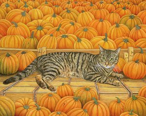 Der Kürbis-Katze, 1995