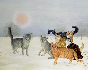 Winter-Katzen von Ditz
