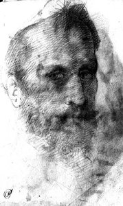 Bärtiger Mann