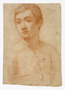 Der Kopf eines Jugendlichen von Domenico Cresti