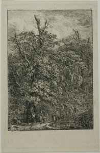 Großer Baum