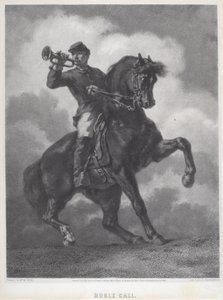Signalhornruf von Dominique C. Fabronius