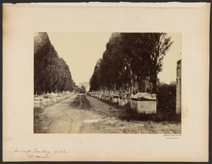 Alter Friedhof von Arles, "Alyscamps" von Dominique Roman