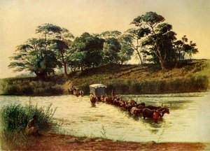 Ochsenkarren überquert eine Furt am Umbelois-Fluss-Swasiland, 1902 von Donald McCracken