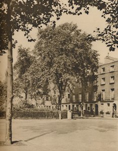 In Boarding-House Land: Die Platanen des Torrington Square, ca. 1935 von Donald McLeish