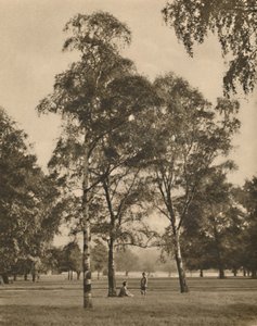 Das Spitzenwerk der Blätter: Ein Sommermorgen im Hyde Park, um 1935 von Donald McLeish