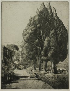 Der Zypressenhain