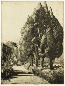 Der Zypressenhain