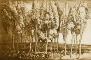 Der Tanz des Frühlings von Donald Shaw MacLaughlan
