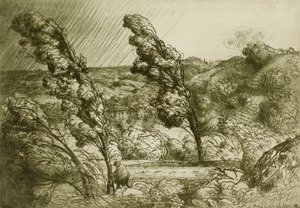 Der Sturm