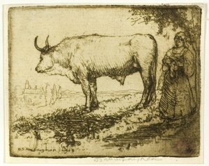 Der weiße Ochse von Donald Shaw MacLaughlan