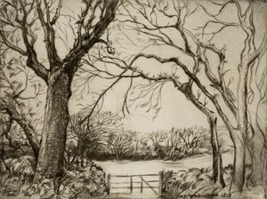 Tragenna Wald von Donald Shaw MacLaughlan