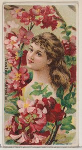 Azalee: Anziehung, aus der Serie Blumenschönheiten und Blumensprache N75 für Duke, 1892 von Donaldson Brothers