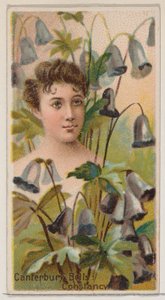 Canterbury Bells: Beständigkeit, aus der Serie Floral Beauties and Language of Flowers N75..., 1892 von Donaldson Brothers