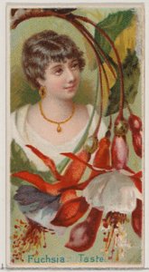 Fuchsie: Geschmack, aus der Serie Floral Beauties and Language of Flowers N75 für Duke bra..., 1892 von Donaldson Brothers