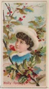 Stechpalme: Voraussicht, aus der Serie Floral Beauties and Language of Flowers N75 für Duke, 1892 von Donaldson Brothers