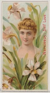 Narziss: Selbstliebe, aus der Serie Blumen-Schönheiten und Sprache der Blumen N75 für Du..., 1892 von Donaldson Brothers