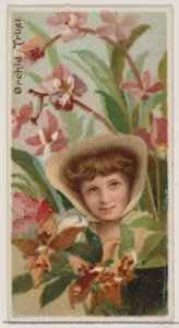 Orchidee: Vertrauen, aus der Serie Floral Beauties and Language of Flowers N75 für Duke, 1892 von Donaldson Brothers