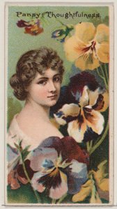 Stiefmütterchen: Nachdenklichkeit, aus der Serie Floral Beauties and Language of Flowers N75 für D..., 1892 von Donaldson Brothers