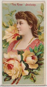 Teerose: Eifersucht, aus der Serie Blumenschönheiten und Blumensprache N75 für Duke, 1892