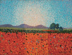 Mohnfeld, ca. 1983 oder 1988 von Donatella Merlo